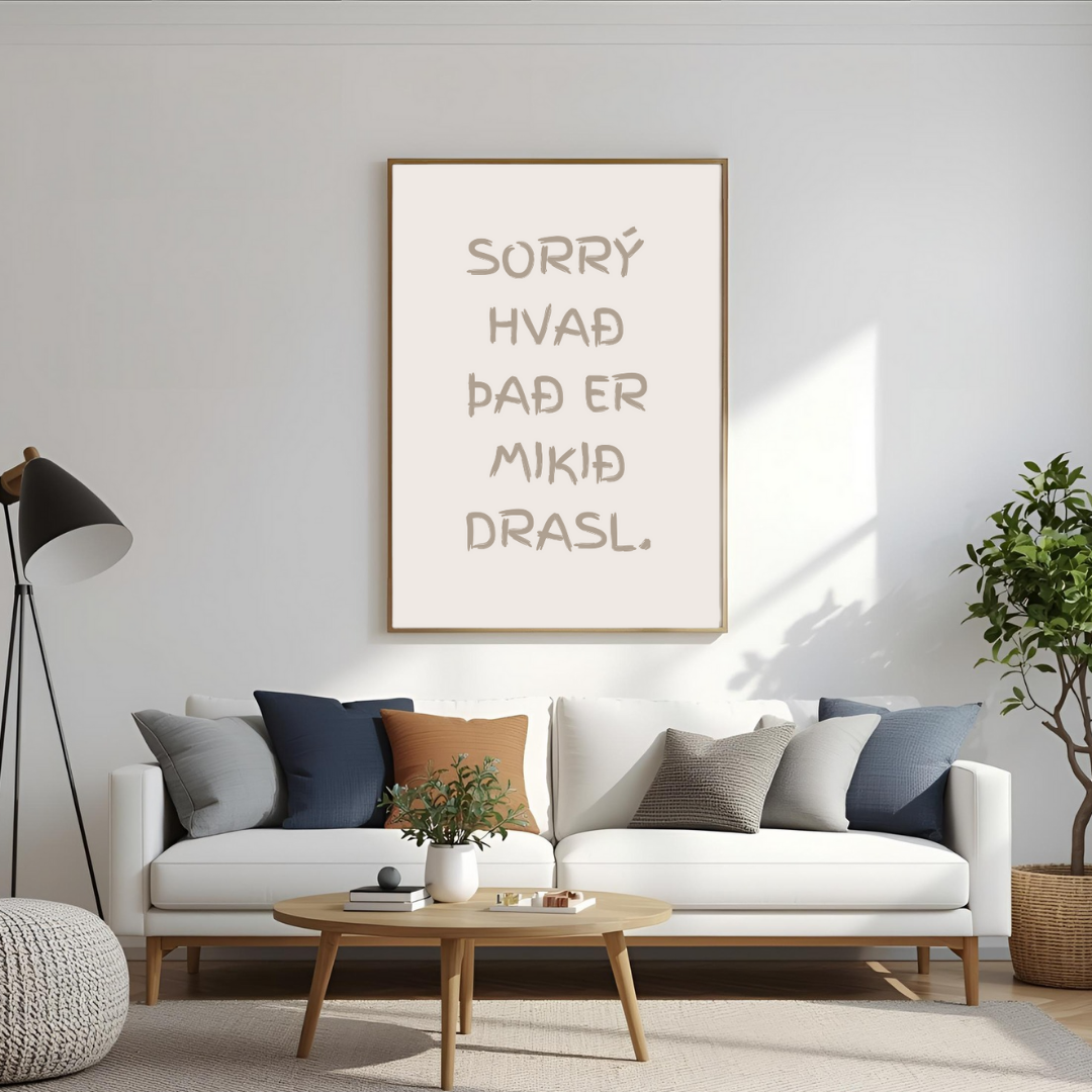 Sorrý hvað það er mikið drasl