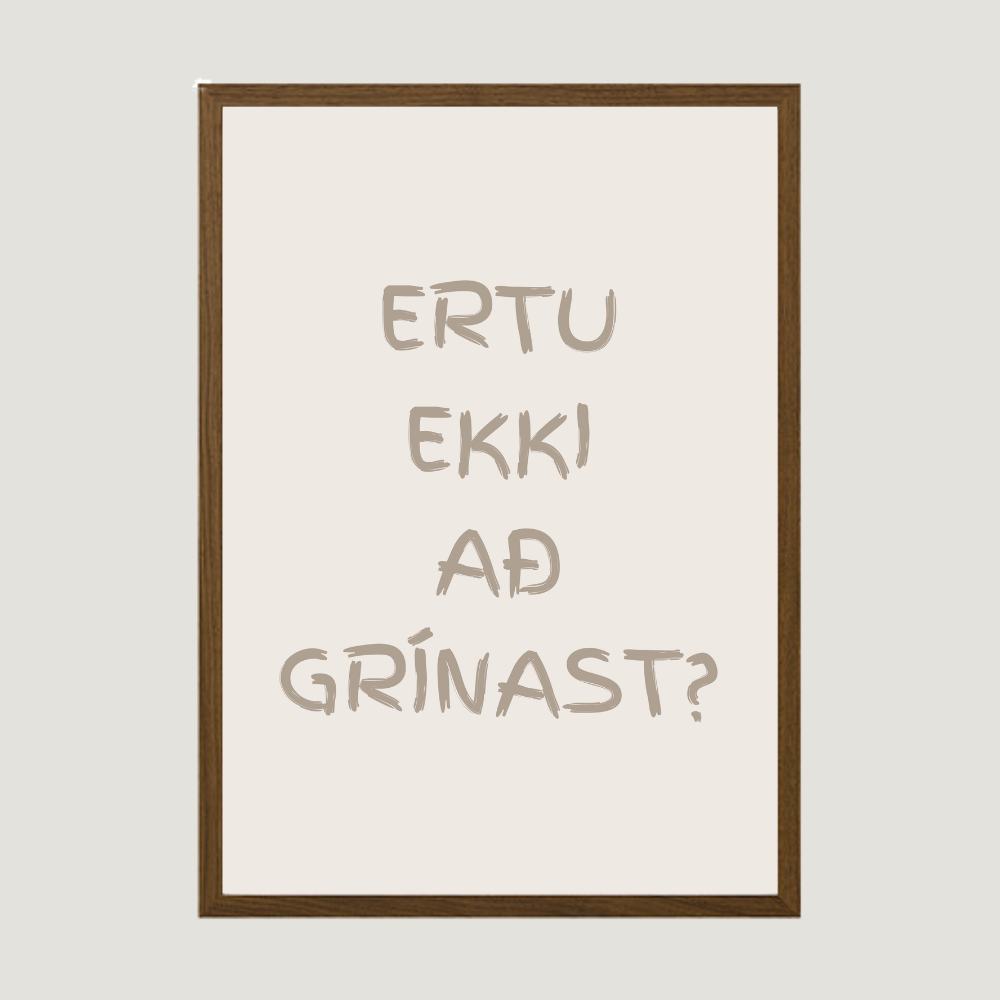 ertu ekki að grínast - plakat