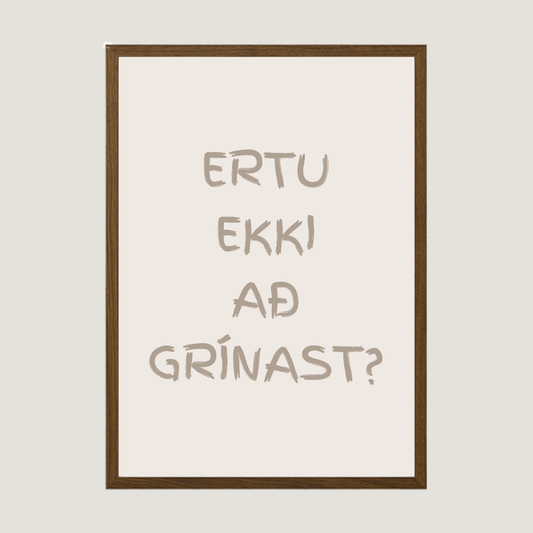 ertu ekki að grínast - plakat