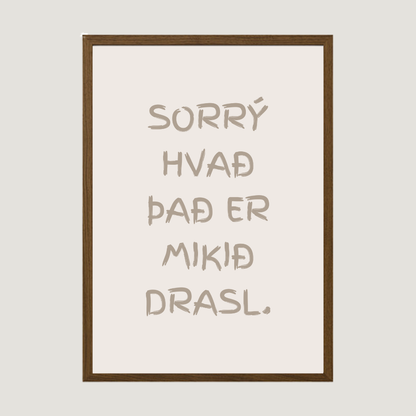 Sorrý hvað það er mikið drasl íslenskt plakat með texta veggspjald