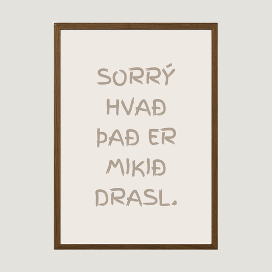 Sorrý hvað það er mikið drasl íslenskt plakat með texta veggspjald