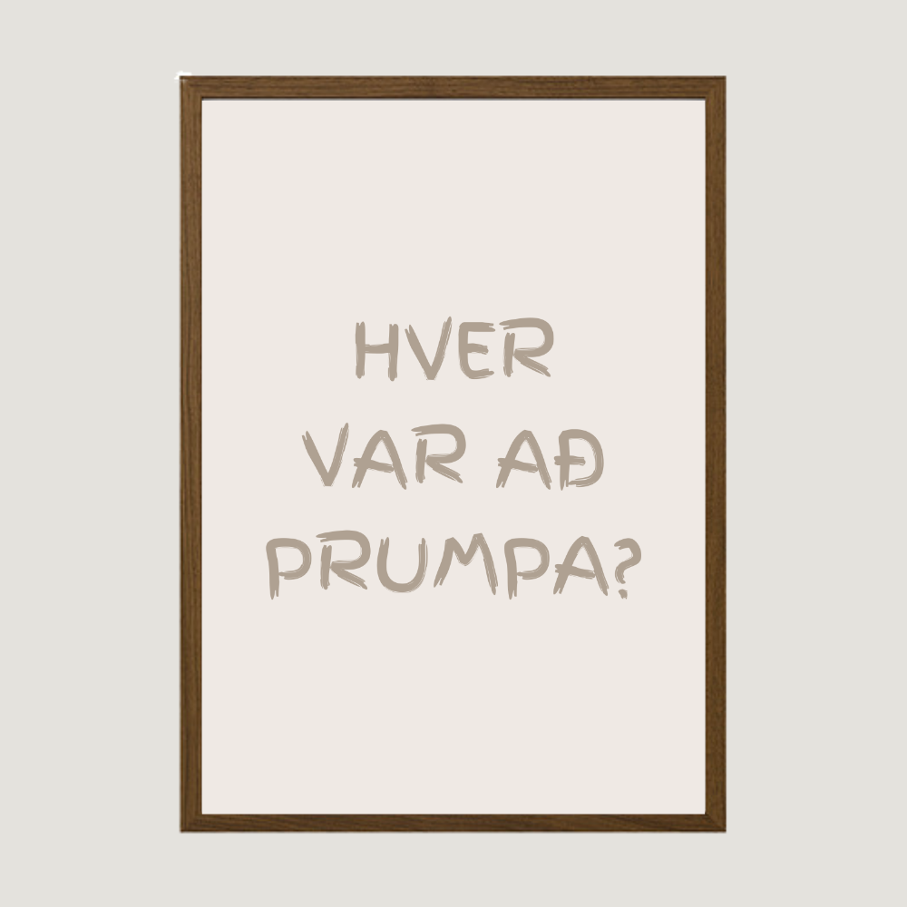 Hver var að prumpa?