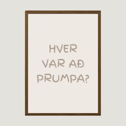 Hver var að prumpa?