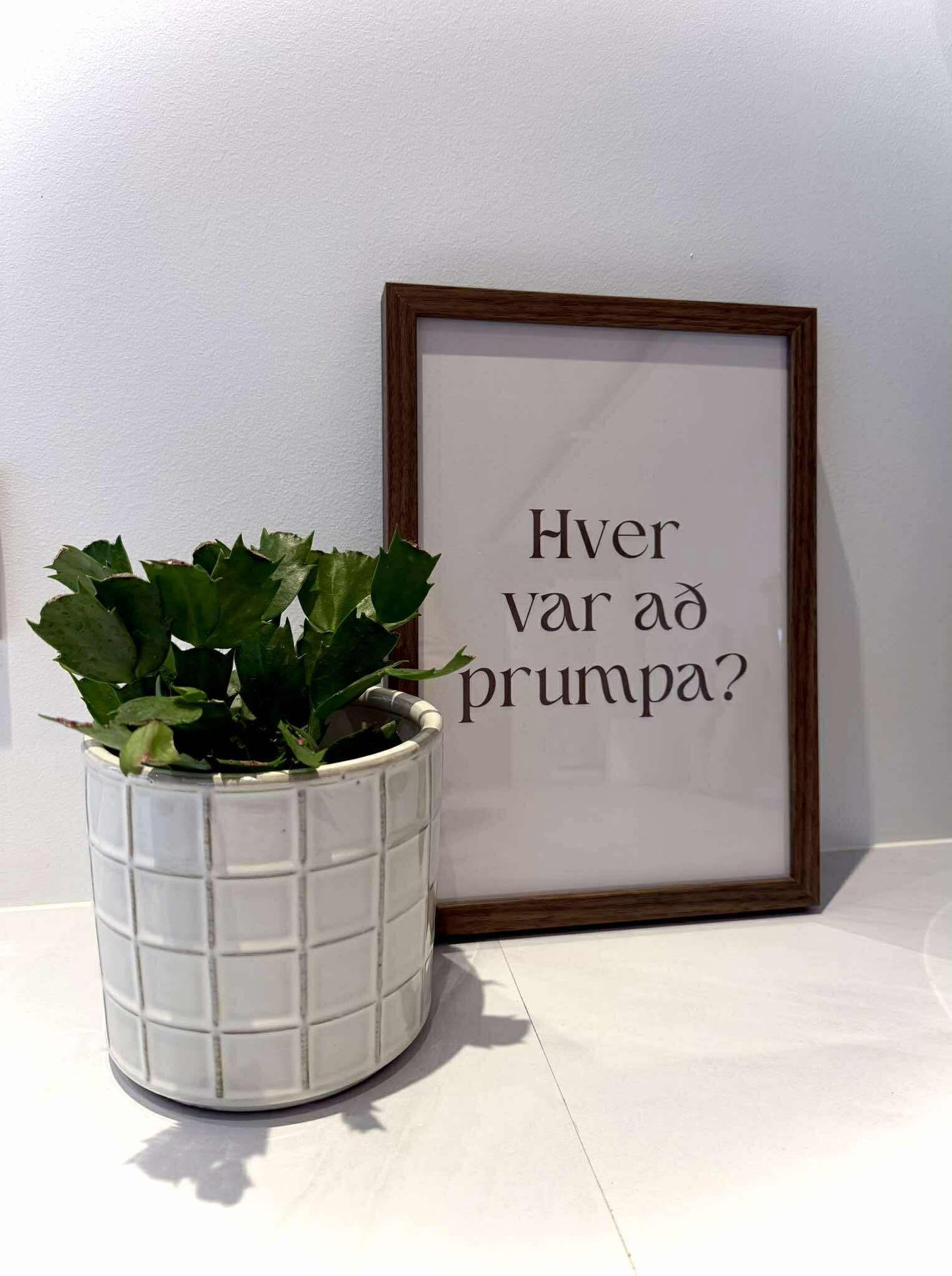 Hver var að prumpa?