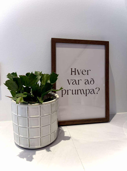 Hver var að prumpa?