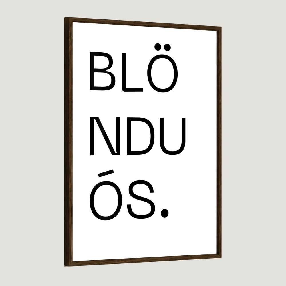 Bærinn minn