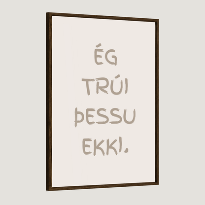 Ég trúi þessu ekki
