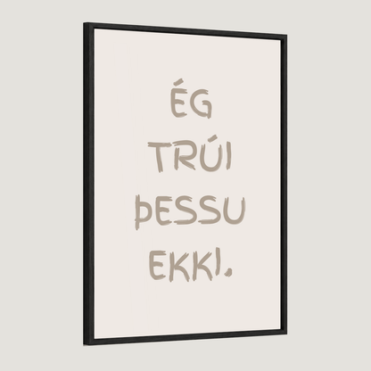 Ég trúi þessu ekki