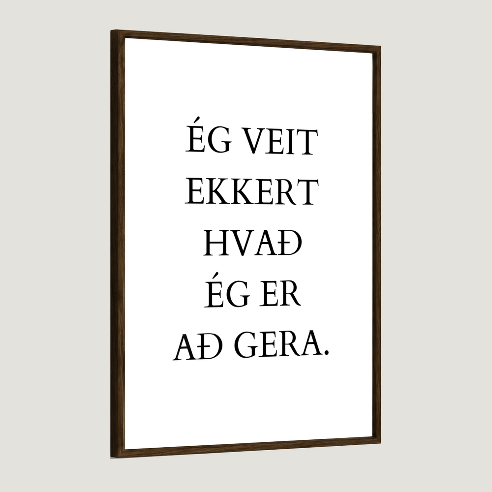 Ég veit ekkert hvað ég er að gera.