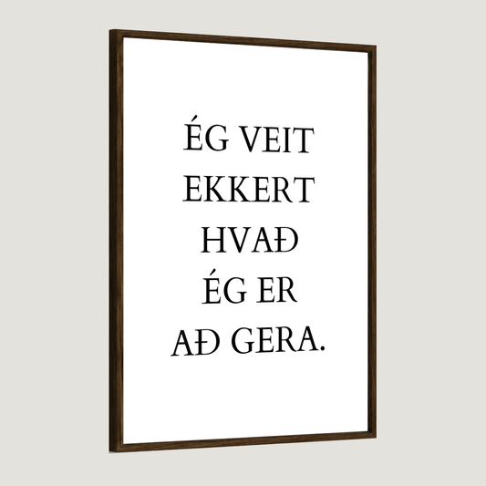 Ég veit ekkert hvað ég er að gera.