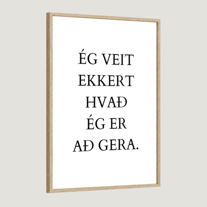 Ég veit ekkert hvað ég er að gera.