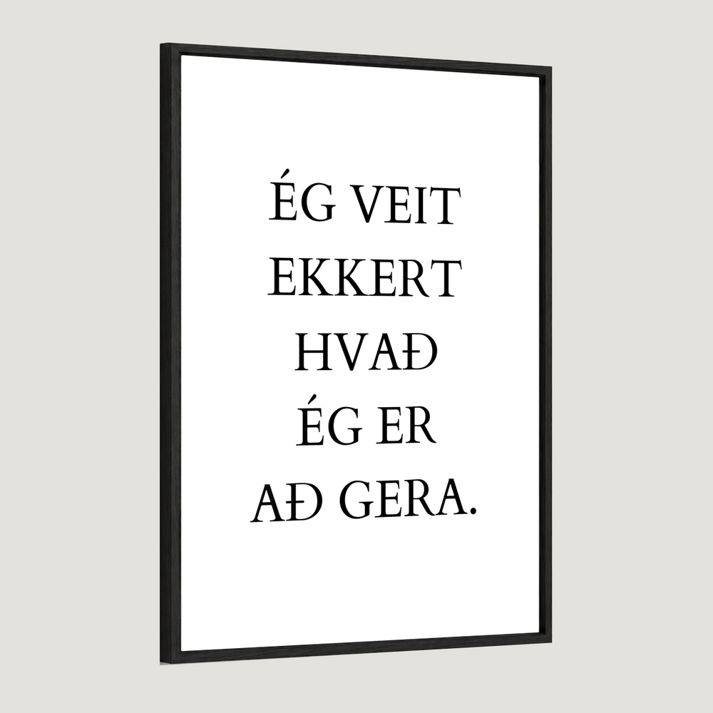 Ég veit ekkert hvað ég er að gera.