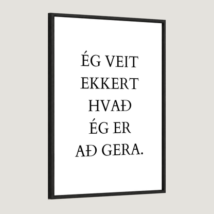 Ég veit ekkert hvað ég er að gera.