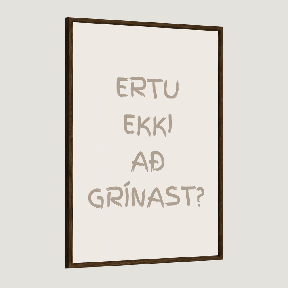 Ertu ekki að grínast?