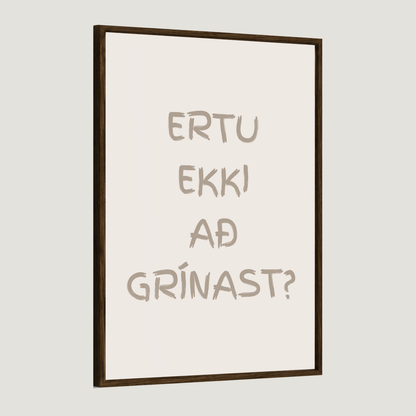 Ertu ekki að grínast?