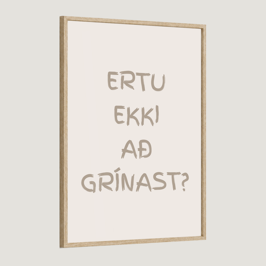 Ertu ekki að grínast?