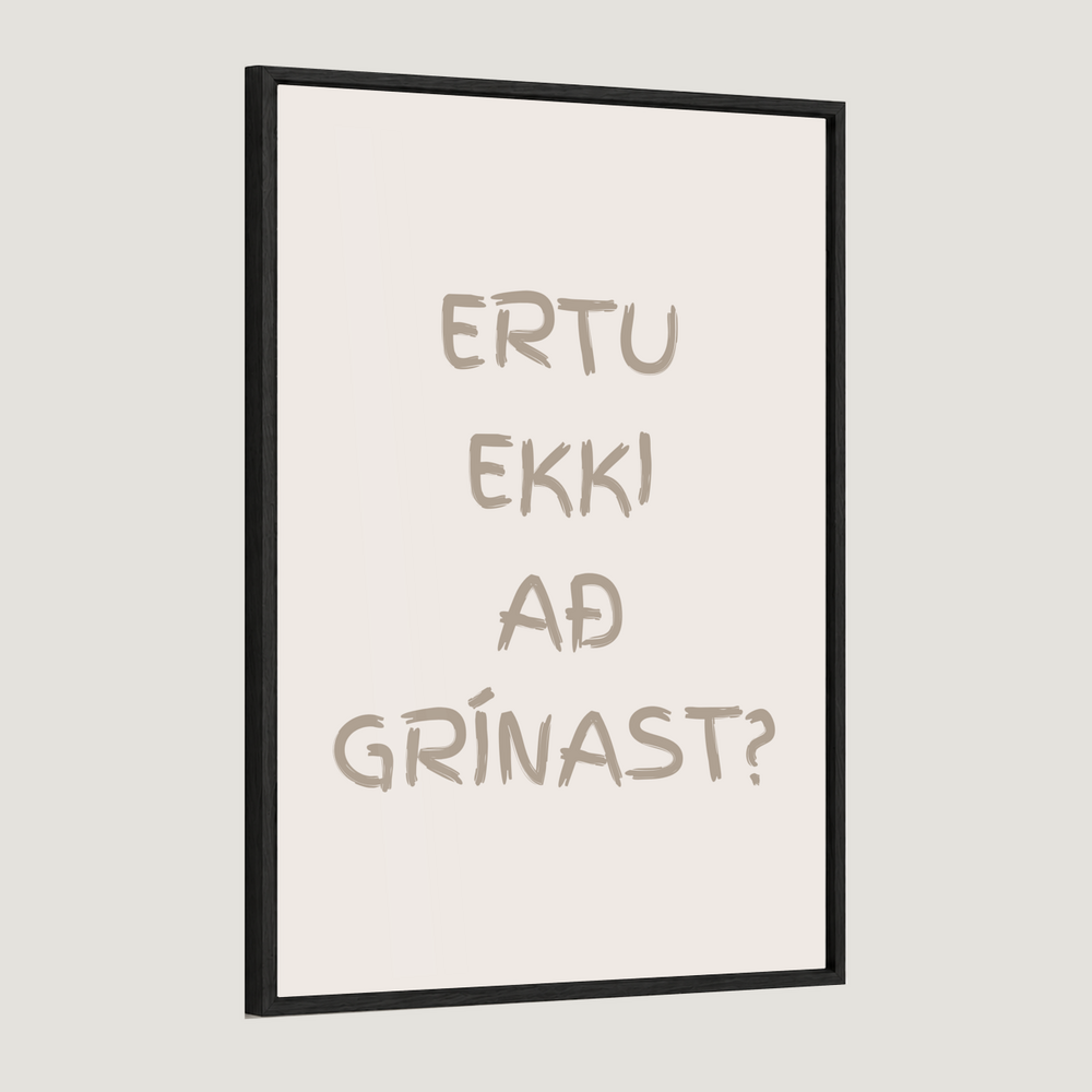 Ertu ekki að grínast?
