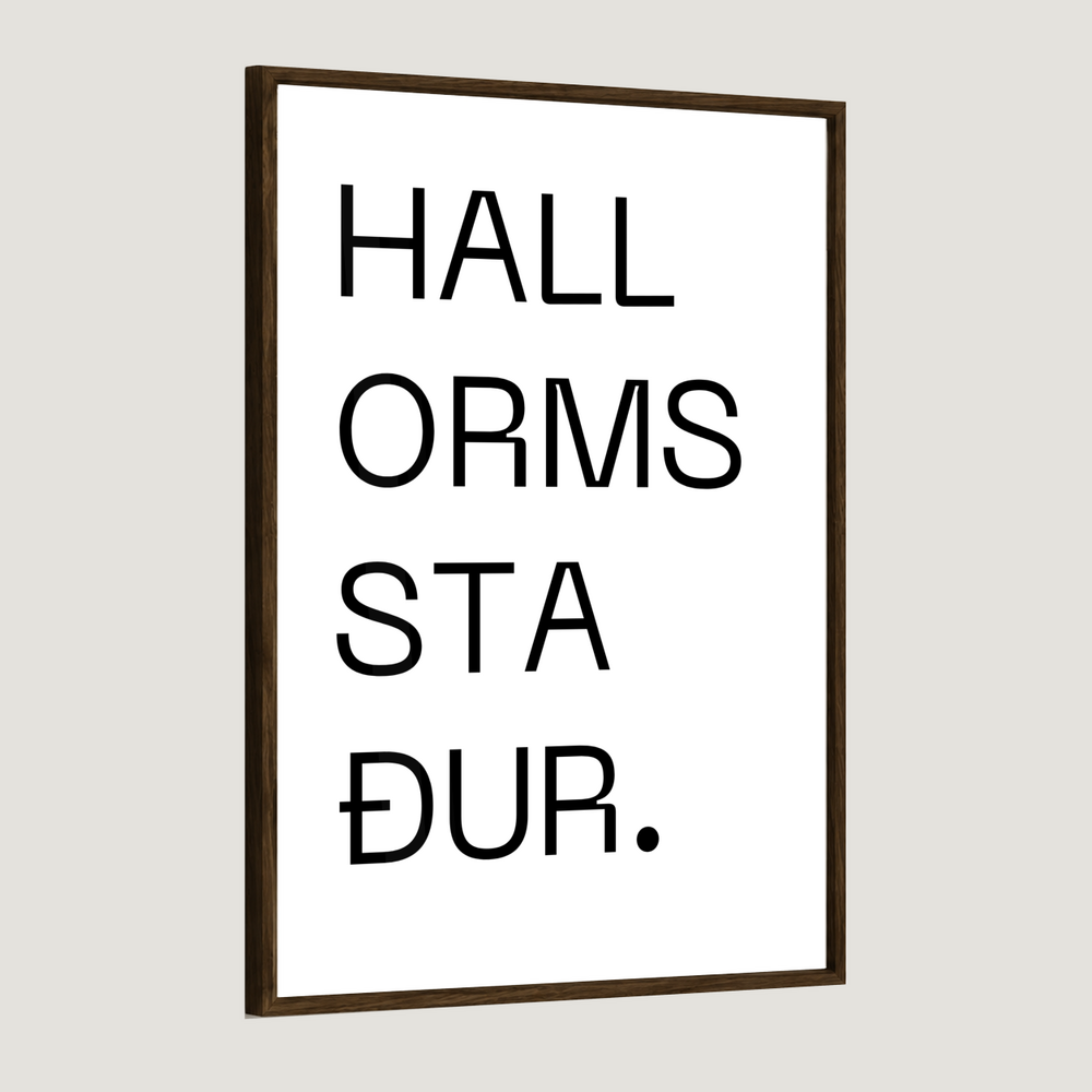 Bærinn minn