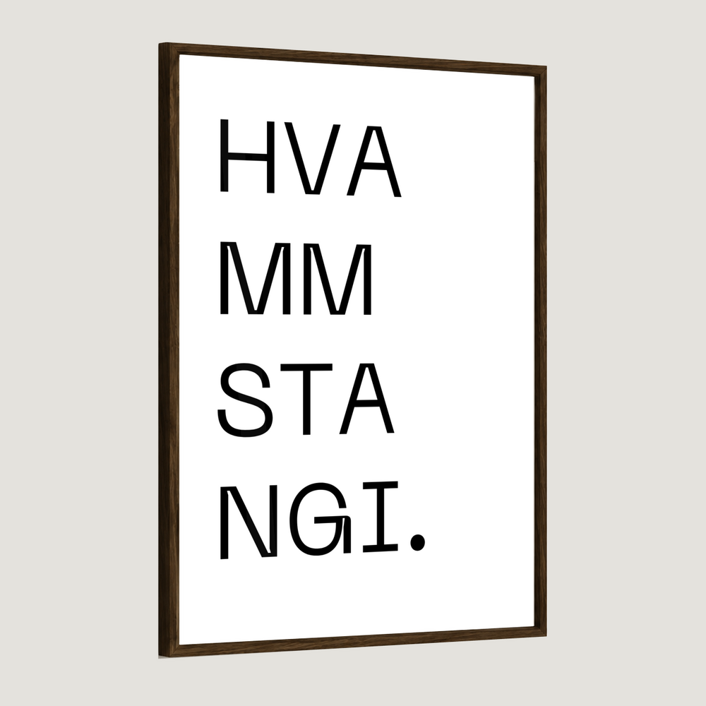 Bærinn minn