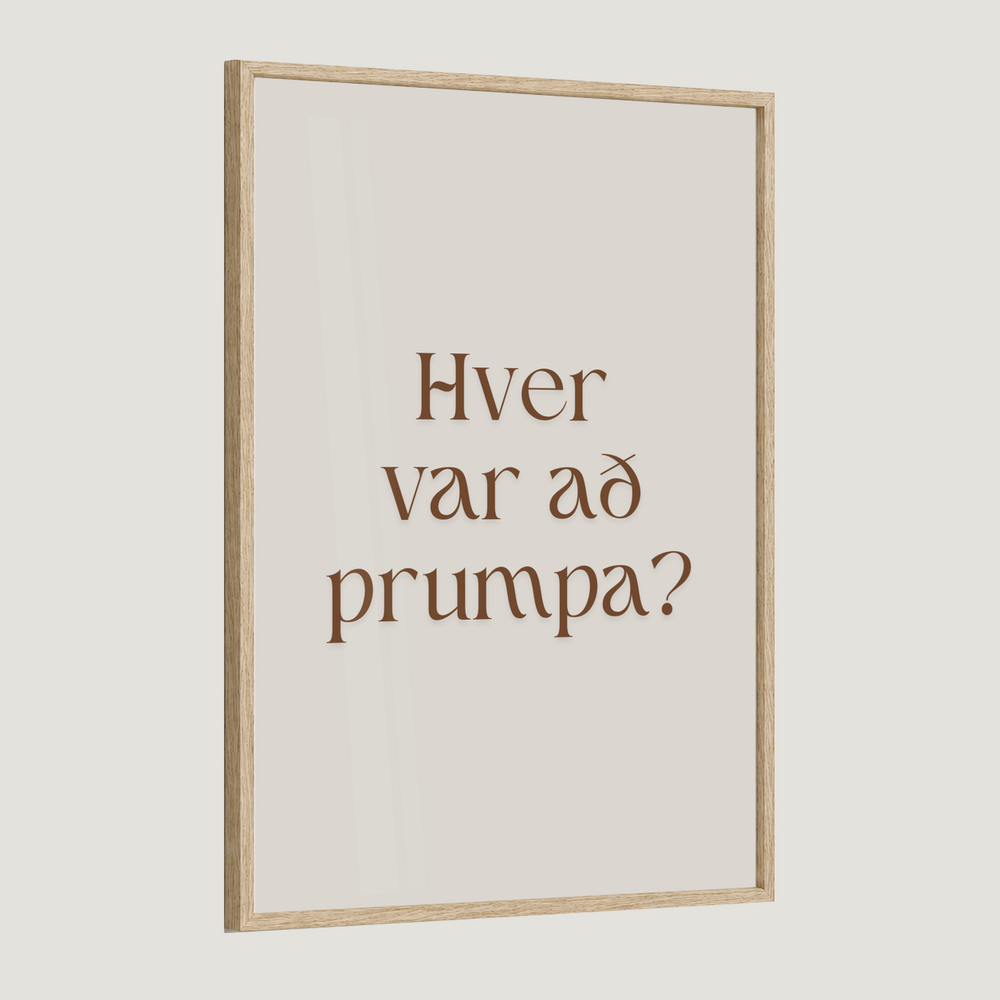 Hver var að prumpa?