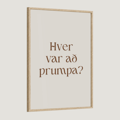 Hver var að prumpa?