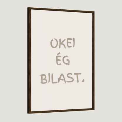 Okei ég bilast.