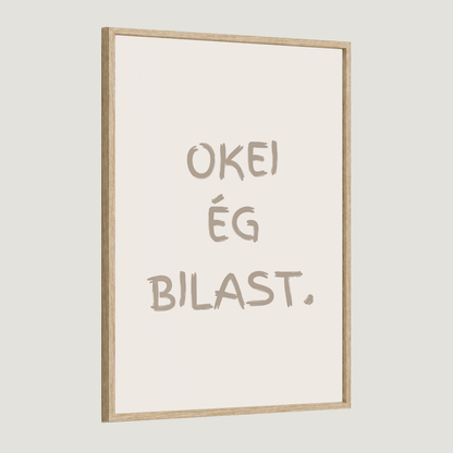 Okei ég bilast.
