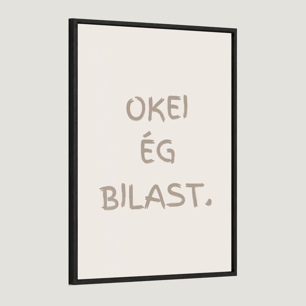 Okei ég bilast.