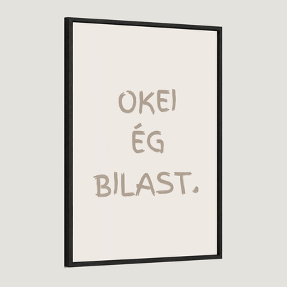 Okei ég bilast.