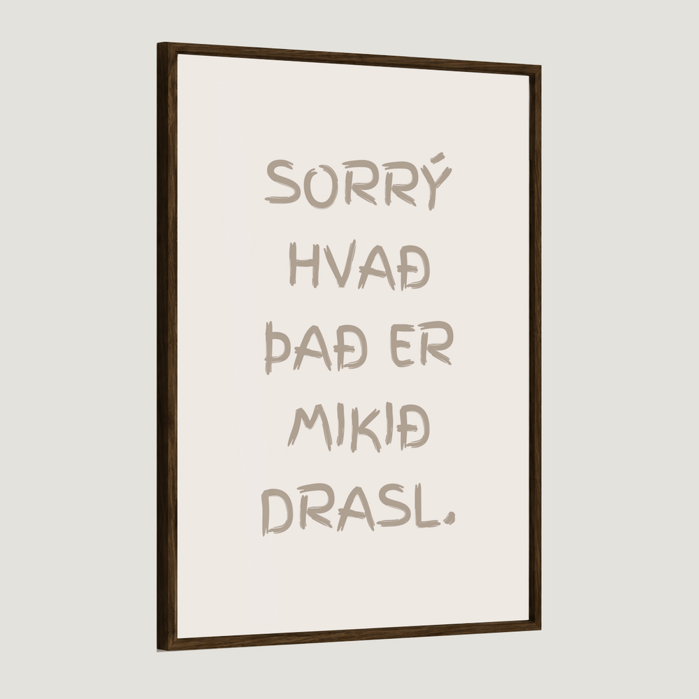 Sorrý hvað það er mikið drasl