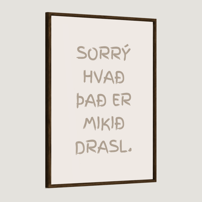Sorrý hvað það er mikið drasl