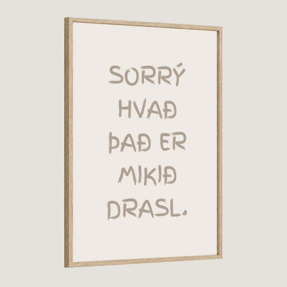 Sorrý hvað það er mikið drasl
