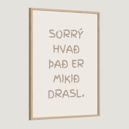 Sorrý hvað það er mikið drasl