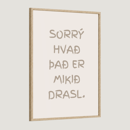 Sorrý hvað það er mikið drasl