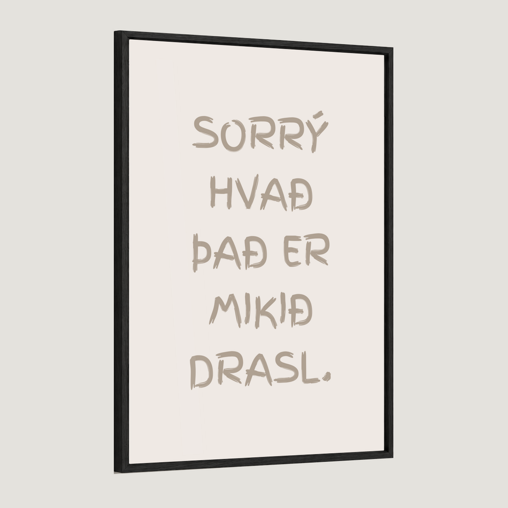 Sorrý hvað það er mikið drasl