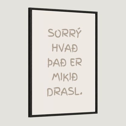 Sorrý hvað það er mikið drasl