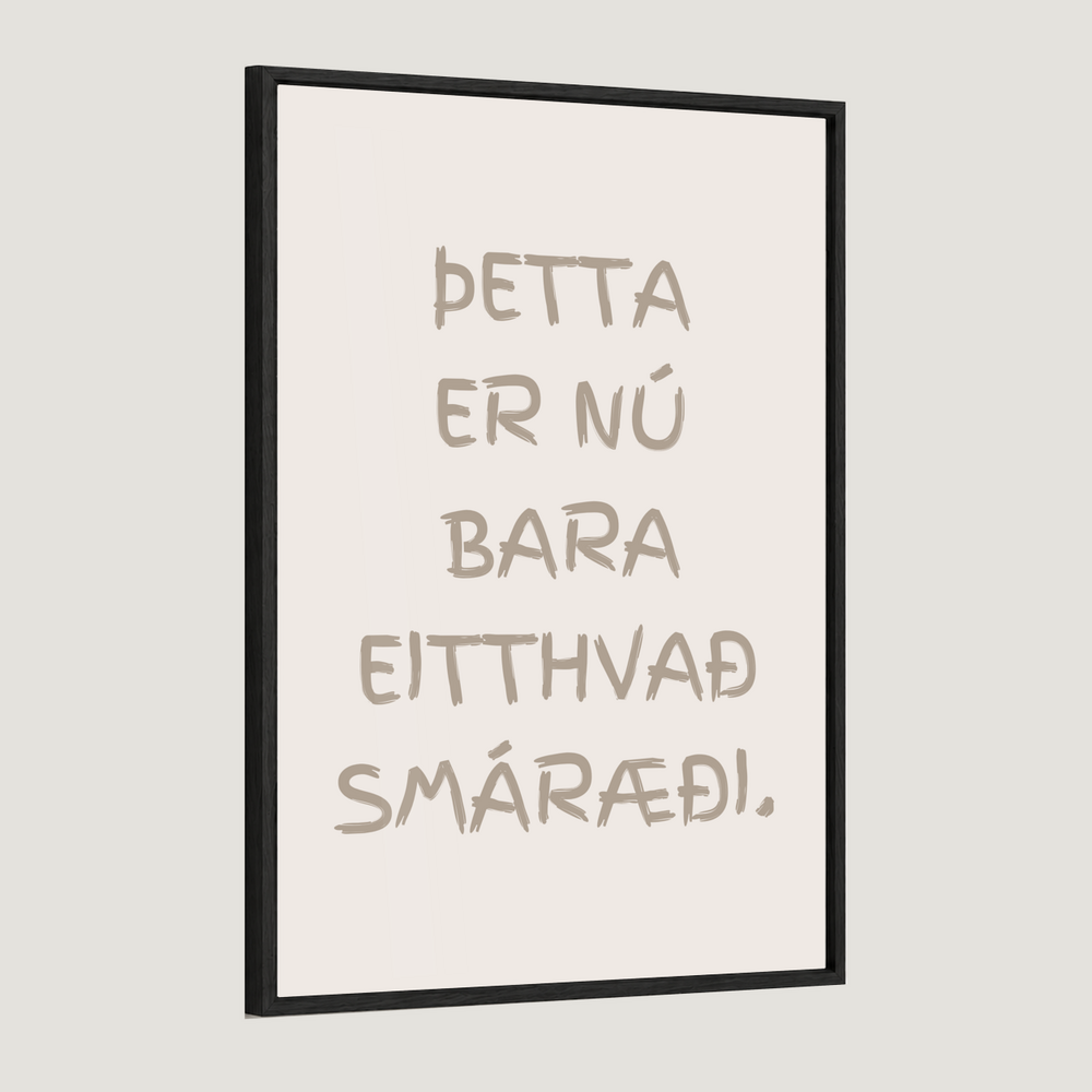 Þetta er nú bara eitthvað smáræði