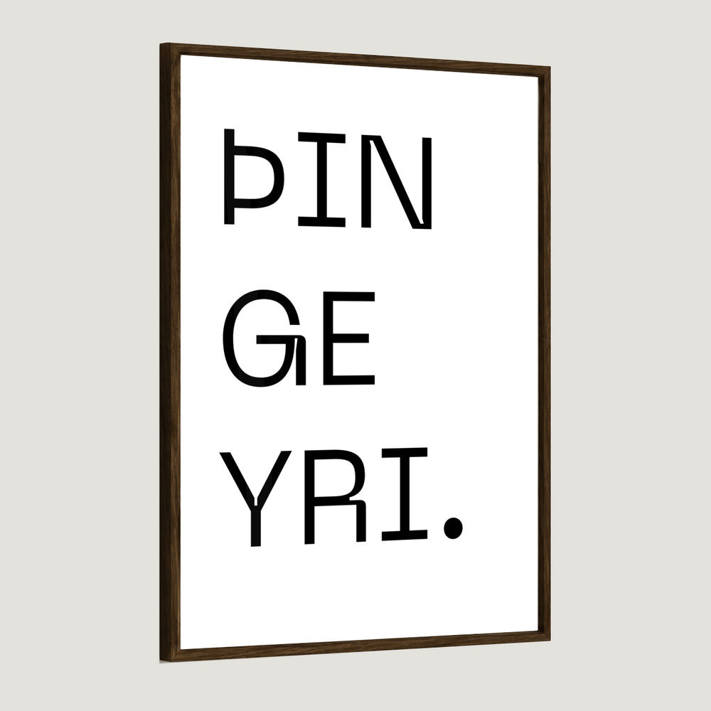 Bærinn minn