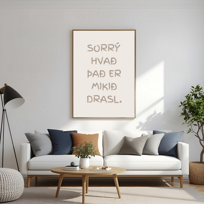 Sorrý hvað það er mikið drasl