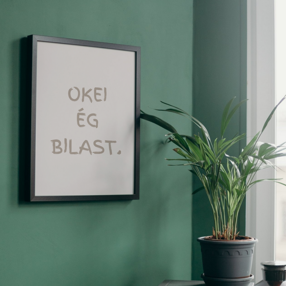 Okei ég bilast.